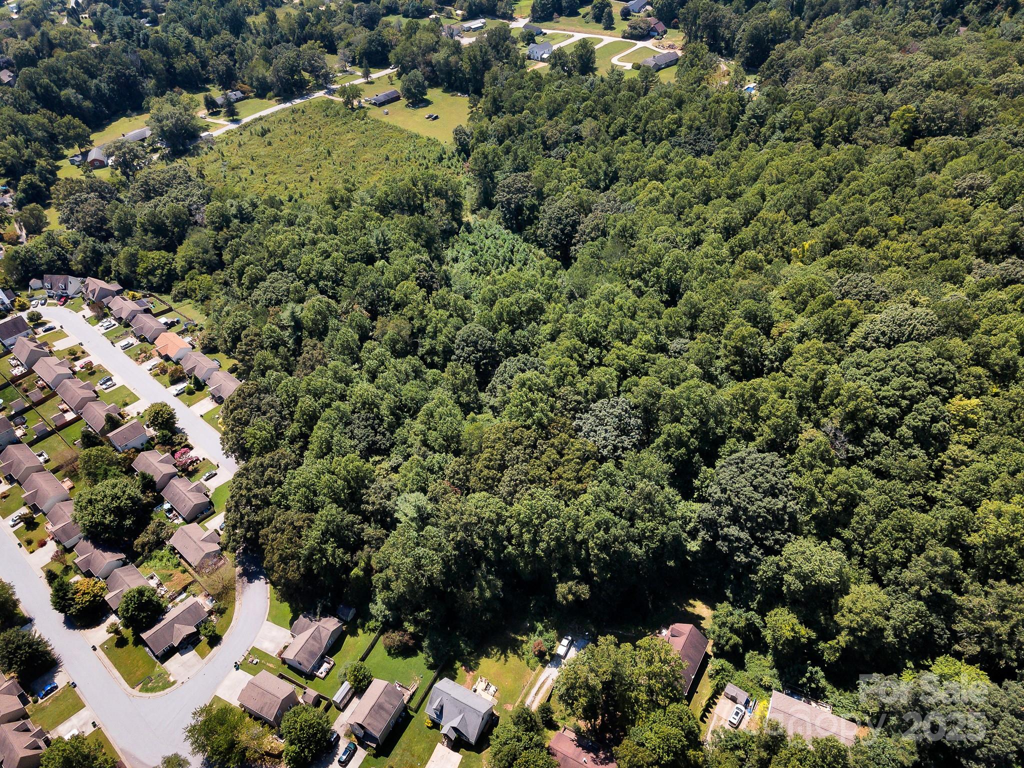 9999 Hoopers Creek Road Fletcher, NC 28732 - Photo 3 of 11 a view of a garden with a tree