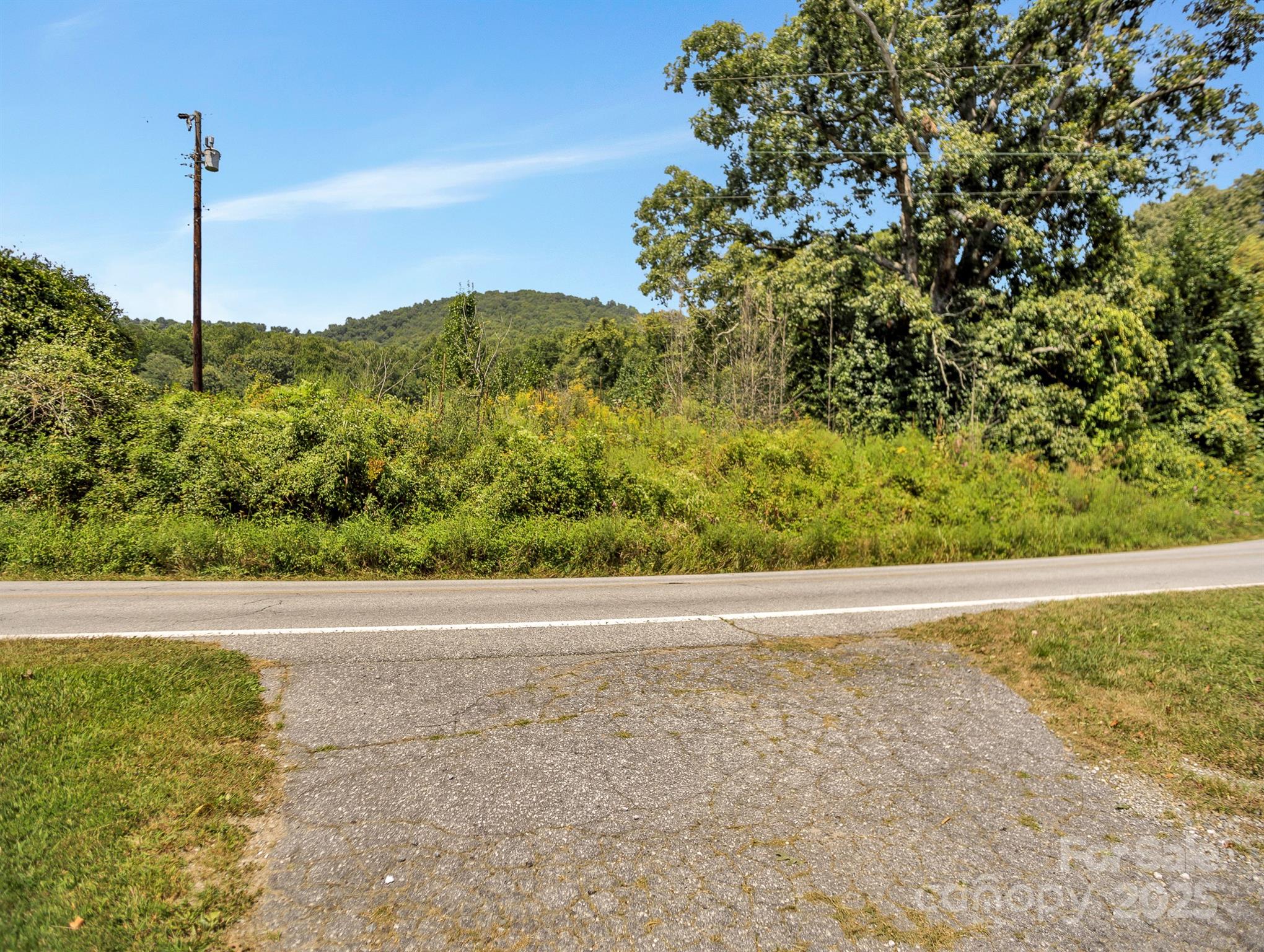 9999 Hoopers Creek Road Fletcher, NC 28732 - Photo 5 of 11 a view of a field with a tree in the background