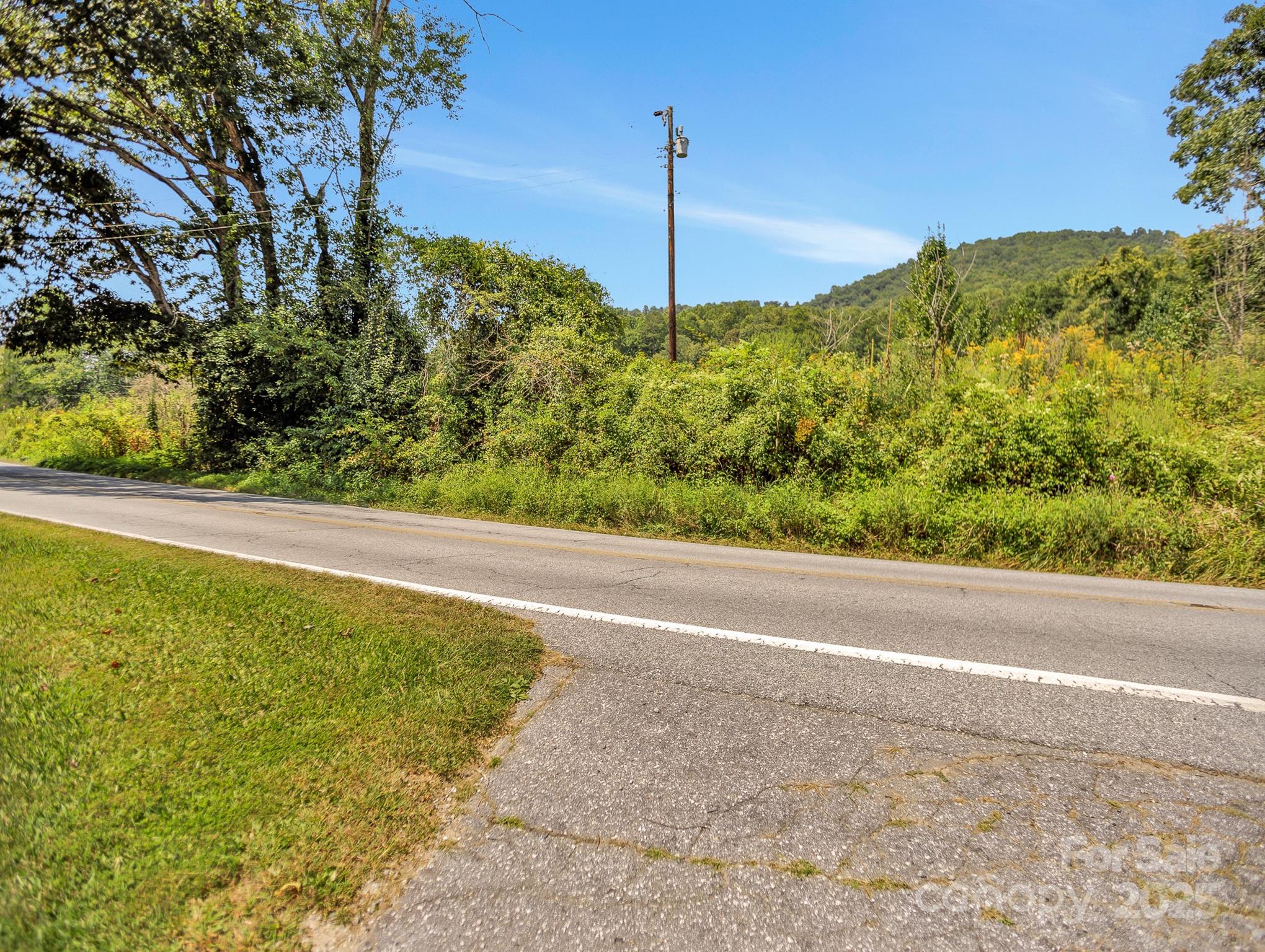 9999 Hoopers Creek Road Fletcher, NC 28732 - Photo 6 of 11 a view of a field with a tree