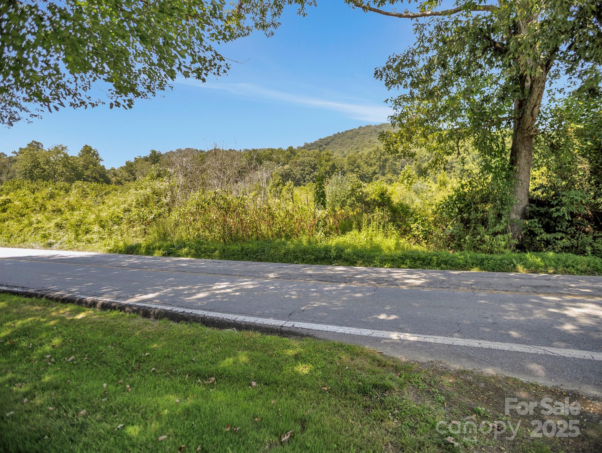 9999 Hoopers Creek Road Fletcher, NC 28732 - Photo 8 of 11 a view of an outdoor space with a lake view