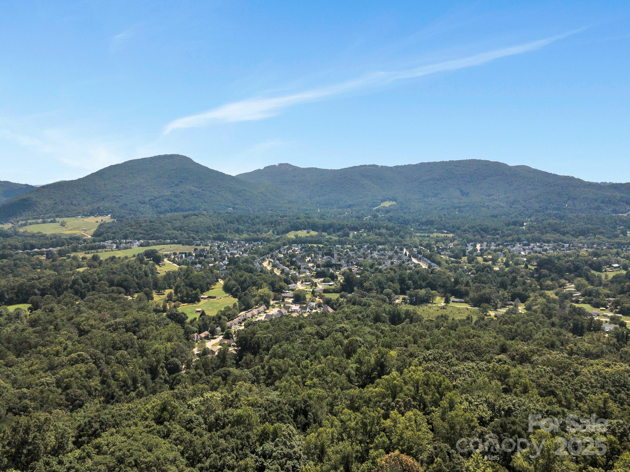 9999 Hoopers Creek Road Fletcher, NC 28732 - Photo 10 of 11 a view of a town with mountains in the background