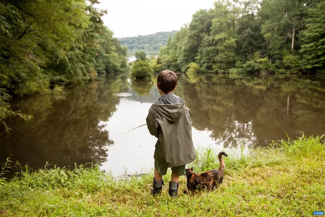 $834,900 | 16 D Odom Court, Charlottesville, VA 22901