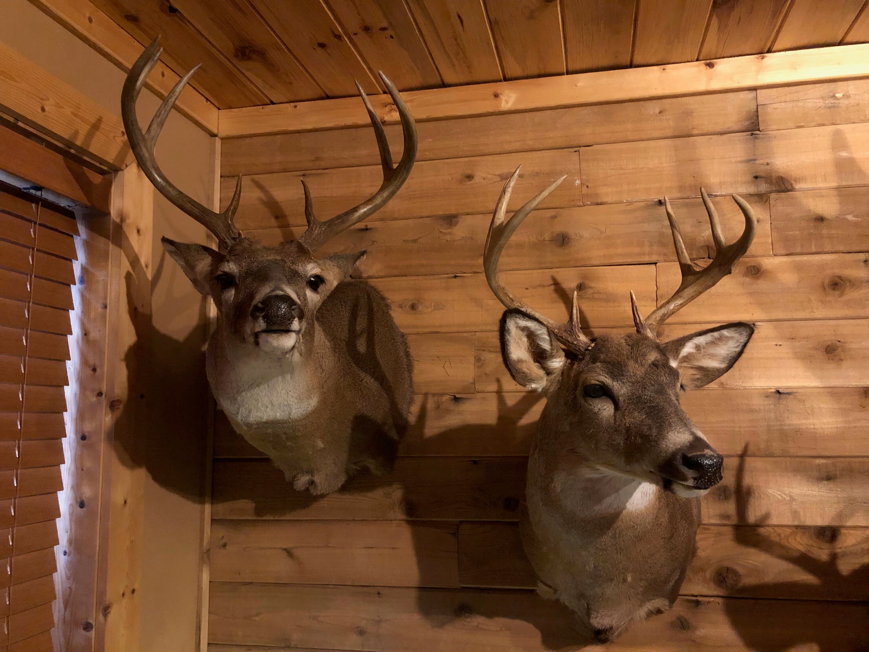 4085 North Red Oak Road Lewiston, MI 49756 - Photo 36 of 40 Gallery Image 36