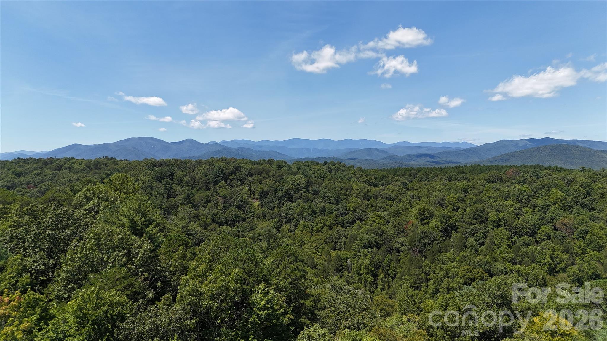 77 Raccoon Ridge Marion, NC 28752 - Photo 9 of 23 Gallery Image 9