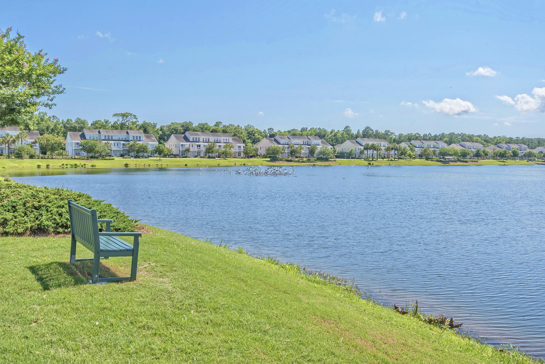2967 Waterleaf Road Johns Island, SC 29455 - Photo 50 of 51 Whitney Lake!