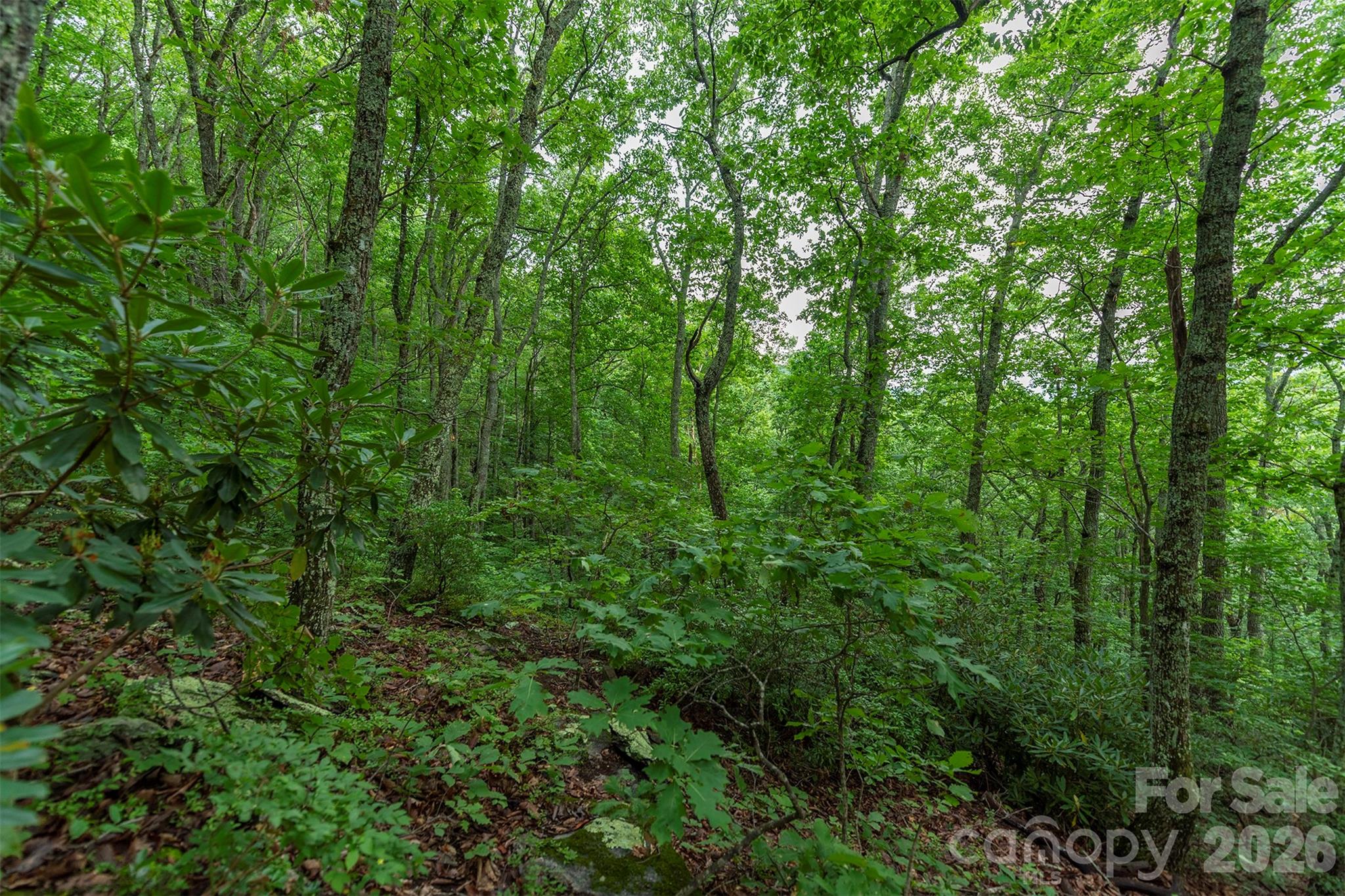Tbd Summer Haven Road, Unit 16 Swannanoa, NC 28778 - Photo 7 of 45