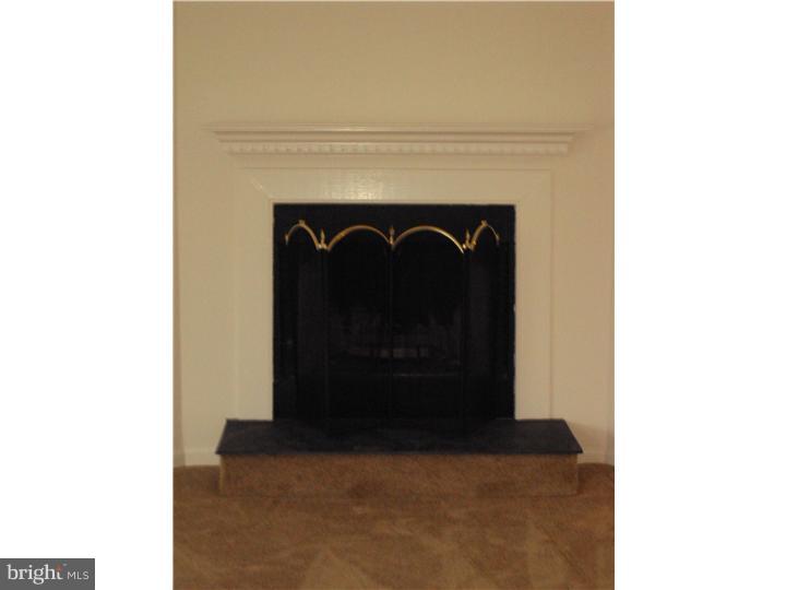150 Longford Road West Chester, PA 19380 - Photo 3 of 18 Fireplace