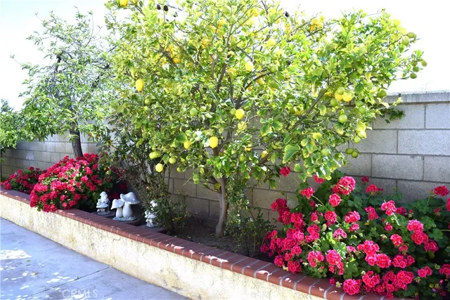 $3,300 | 39723 Clements Way, Murrieta, CA 92563