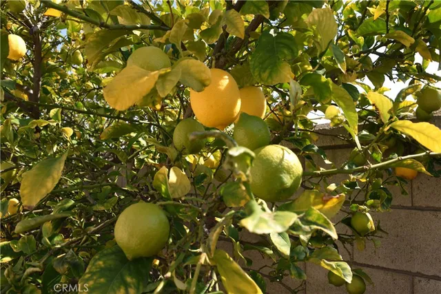 $3,300 | 39723 Clements Way, Murrieta, CA 92563