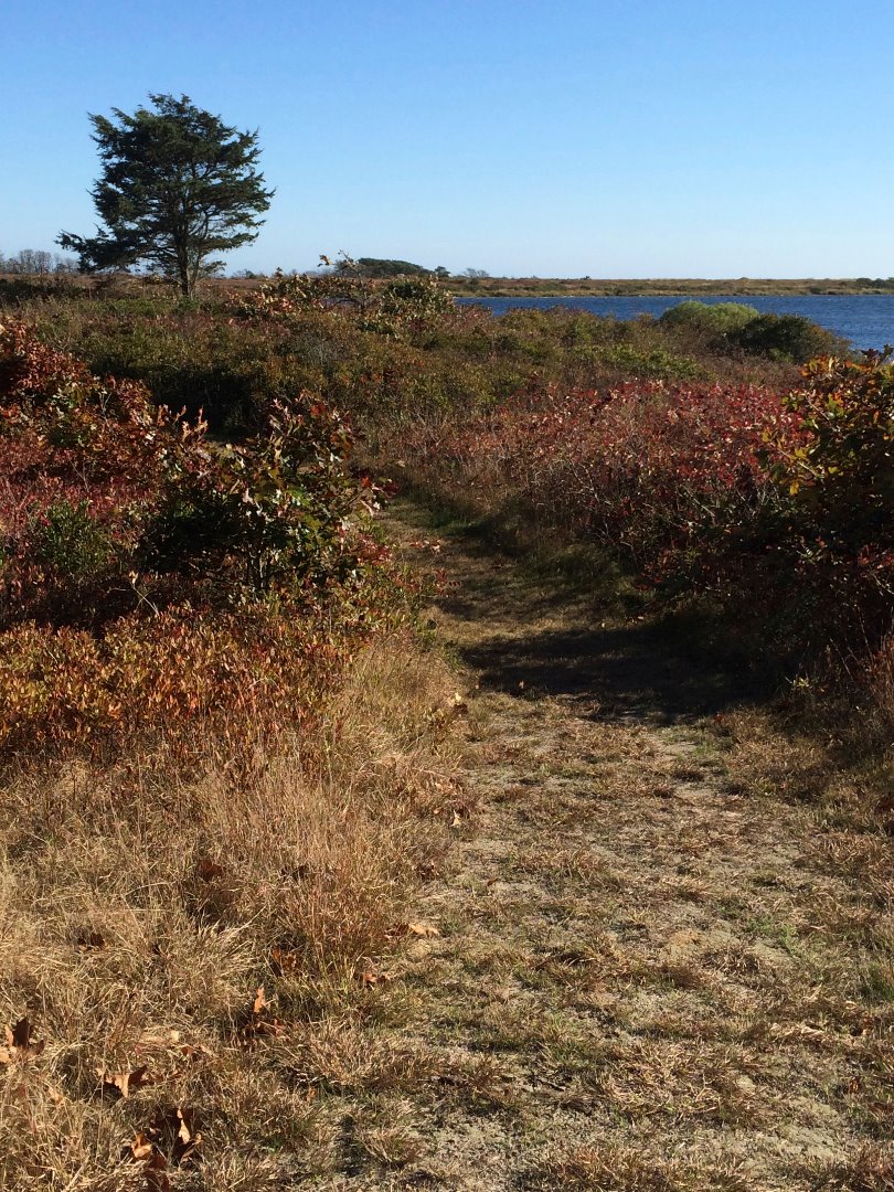 60 Waldrons Bottom Road West Tisbury, MA 02568 - Photo 22 of 24 Gallery Image 22
