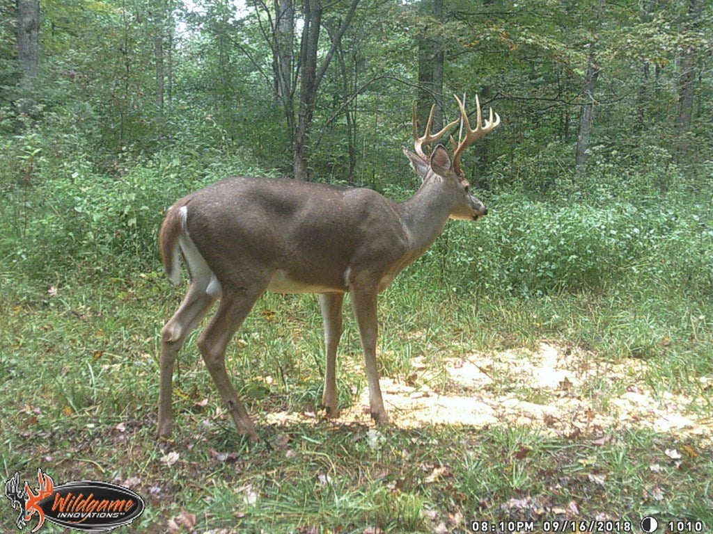 Ac Jr Loy Road Columbia, KY 42728 - Photo 10 of 11 Gallery Image 10