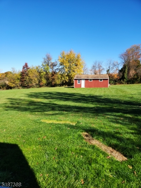 122 Boss Road, Unit B Stockton, NJ 08559 - Photo 6 of 10 a view of a big yard with a large tree and plants