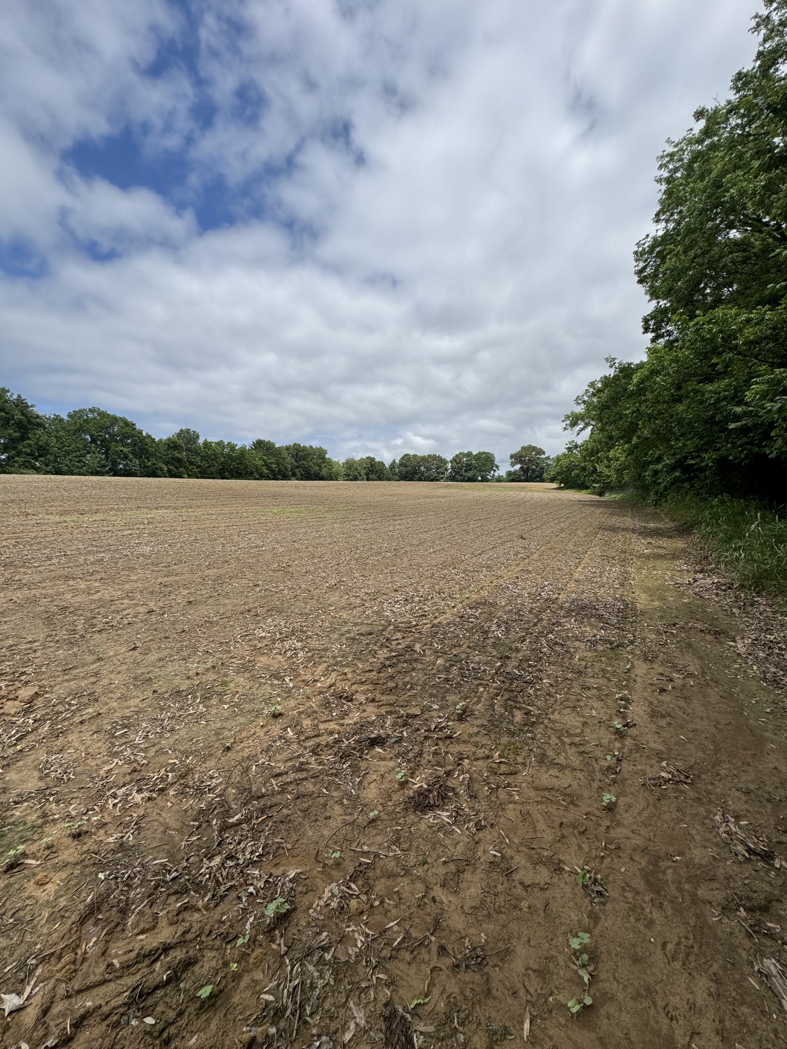 325 Harts Mill Road Atwood, TN 38220 - Photo 24 of 44