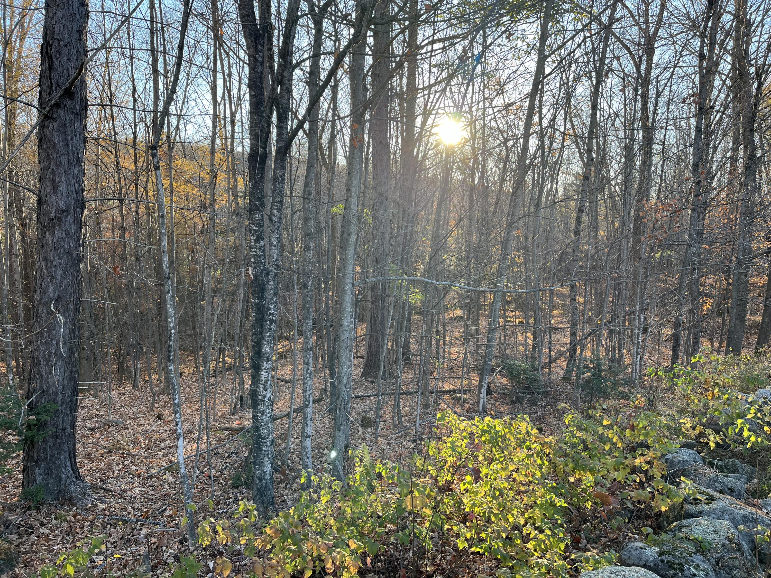 0 Old County Road Bryant Pond, ME 04219 - Photo 1 of 4 IMG_5228