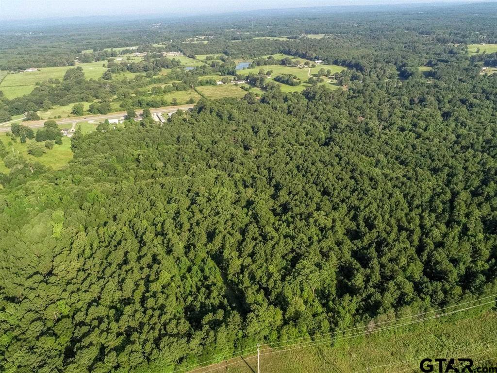 259 & Sego Lily Road Diana, TX 75640 - Photo 19 of 22