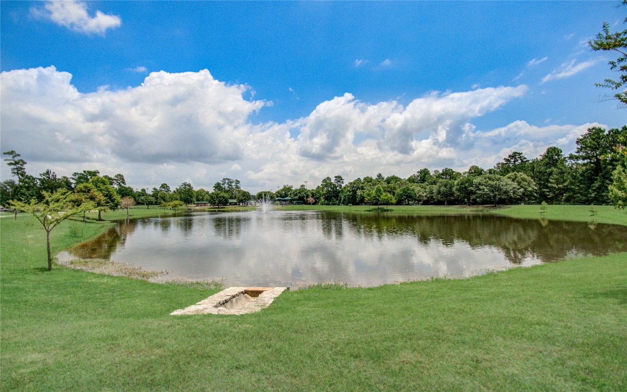 3620 Cub Drive Conroe, TX 77301 - Photo 40 of 49 a view of a lake