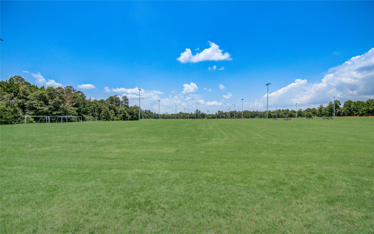 3620 Cub Drive Conroe, TX 77301 - Photo 47 of 49 a view of a golf course with a lake