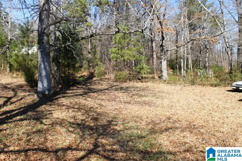 30 Lockette Drive Jacksonville, AL 36265 - Photo 16 of 26