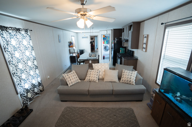 2491 Highway 89, Unit 111 Pleasant View, UT 84404 - Photo 5 of 20 Living area with a decorative wall, washer / dryer, a ceiling fan, and carpet flooring