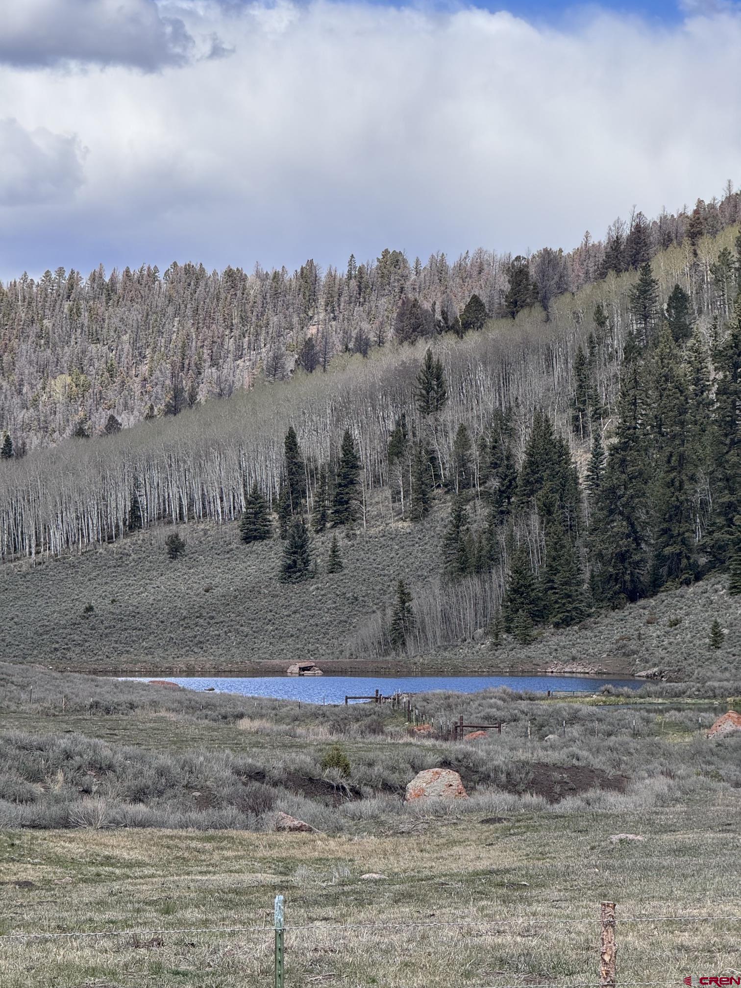 Tbd Tbd Cardwell Draw Road Powderhorn, CO 81243 - Photo 1 of 7 Gallery Image 1