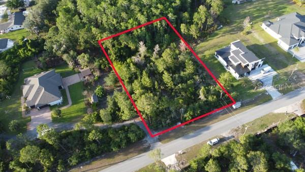 Oesterle Rd Street St. Cloud, FL 34771 - Photo 3 of 8
