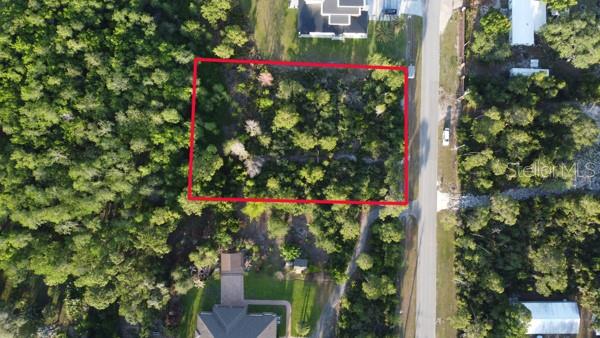 Oesterle Rd Street St. Cloud, FL 34771 - Photo 5 of 8