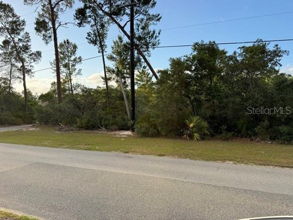 Oesterle Rd Street St. Cloud, FL 34771 - Photo 8 of 8