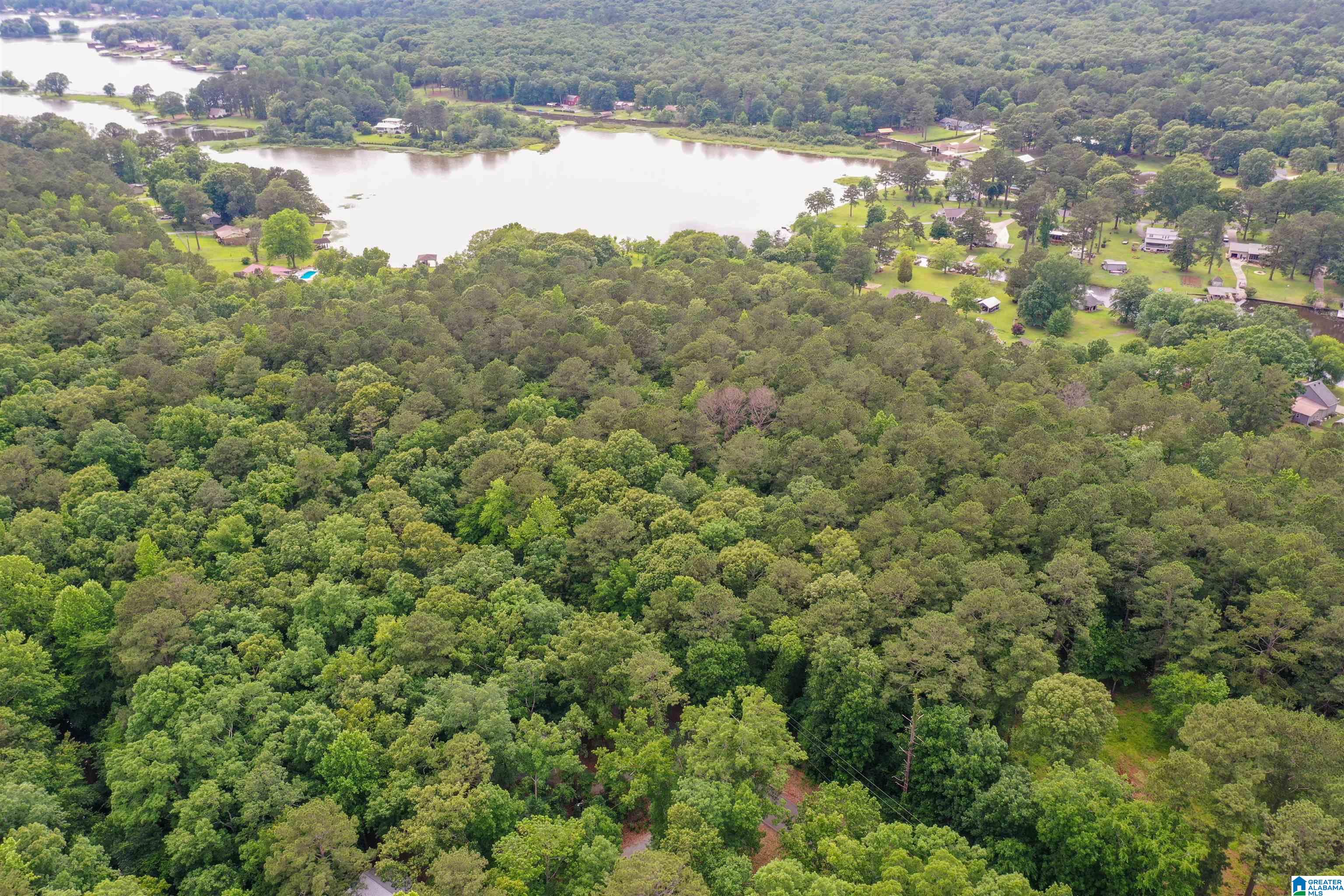 River Drive, Unit 33 Shelby, AL 35143 - Photo 6 of 25