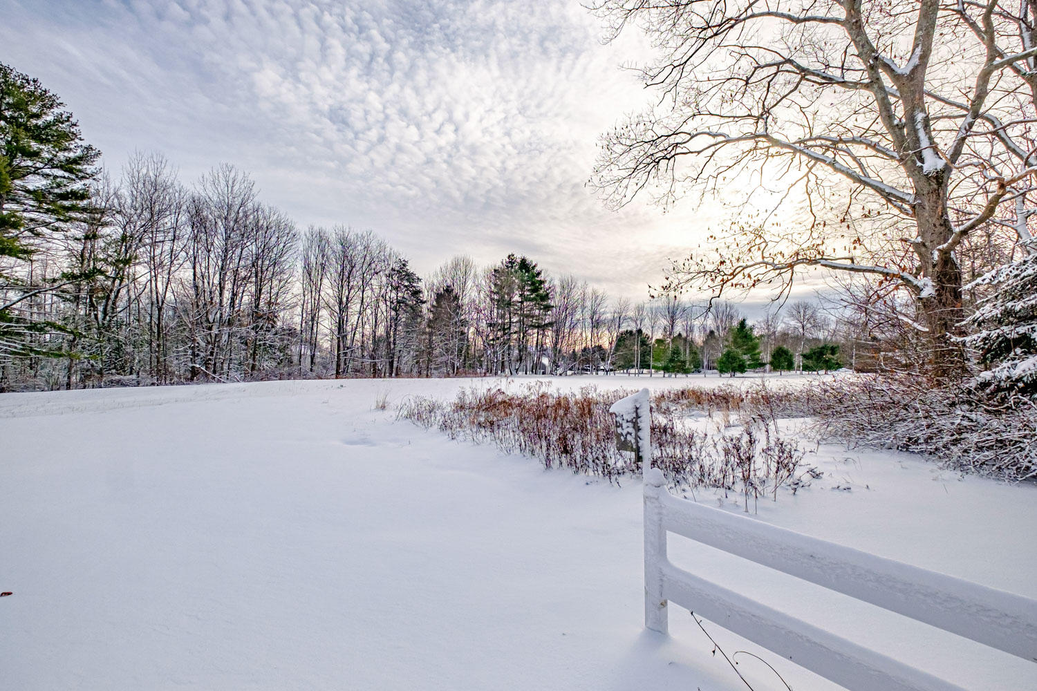 221 Beech Ridge Road Scarborough, ME 04074 - Photo 43 of 43 20191204gp-60089