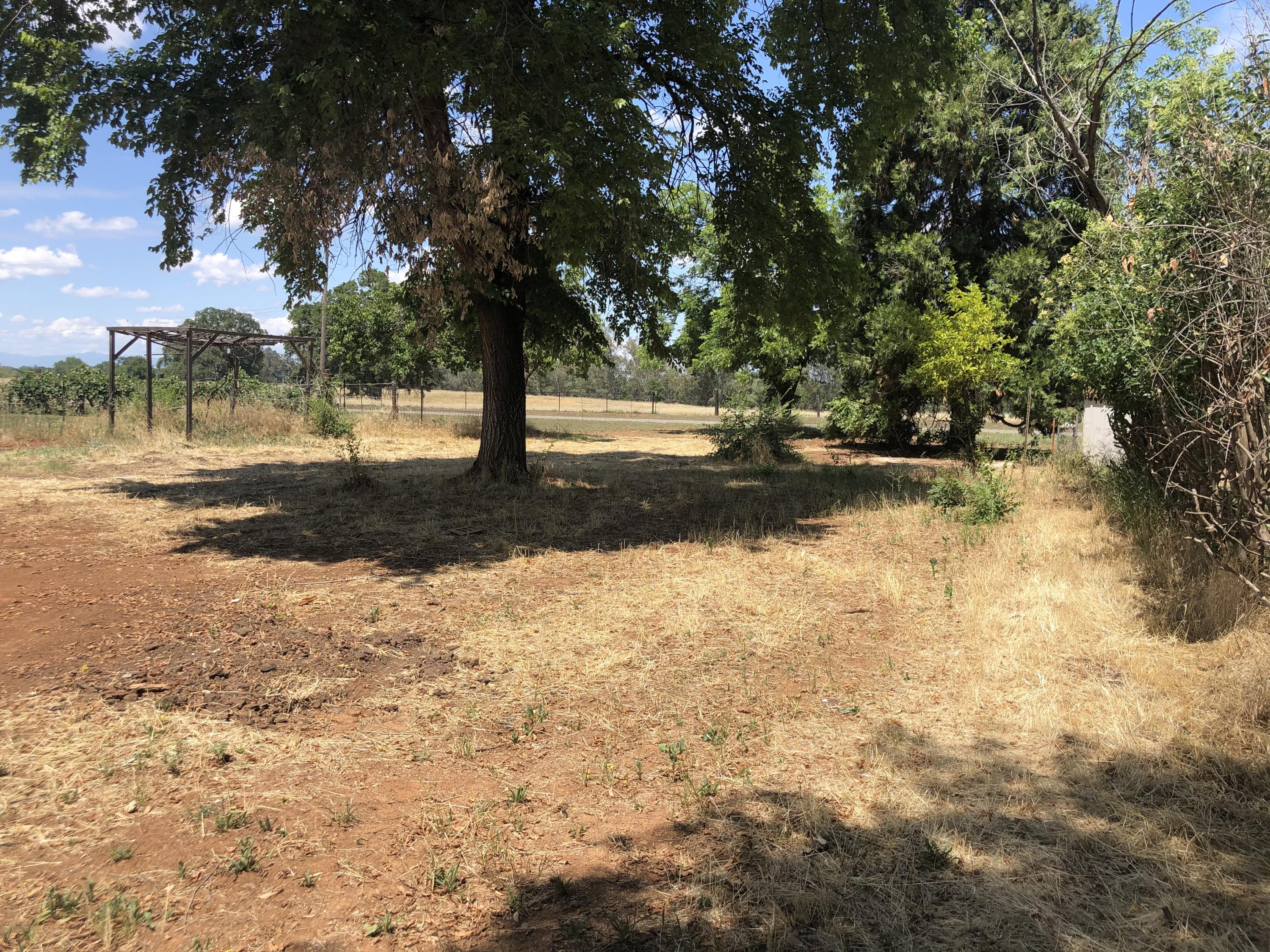 3020 Montgomery Road Red Bluff, CA 96080 - Photo 36 of 41 backyard