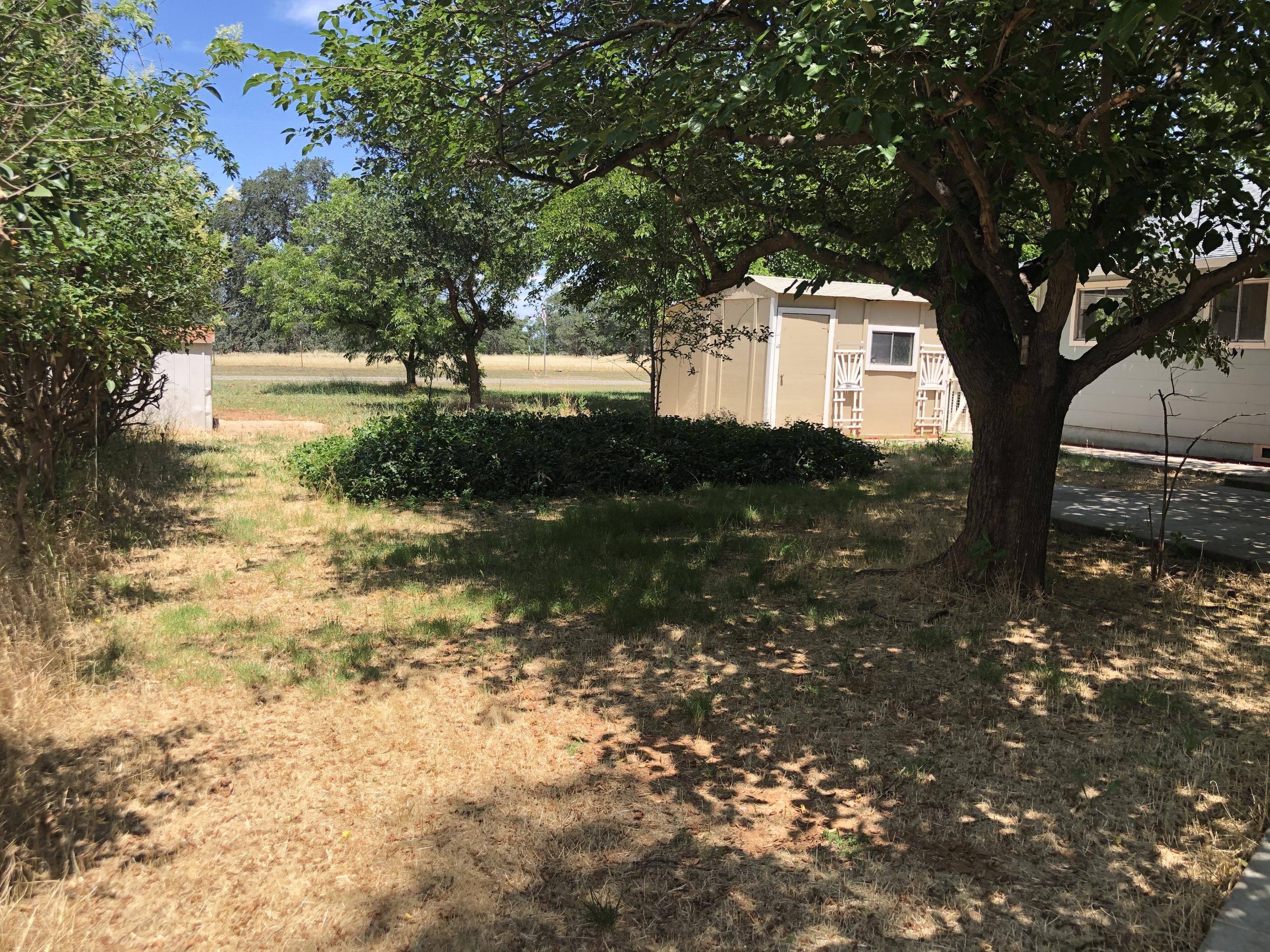 3020 Montgomery Road Red Bluff, CA 96080 - Photo 39 of 41 backyard
