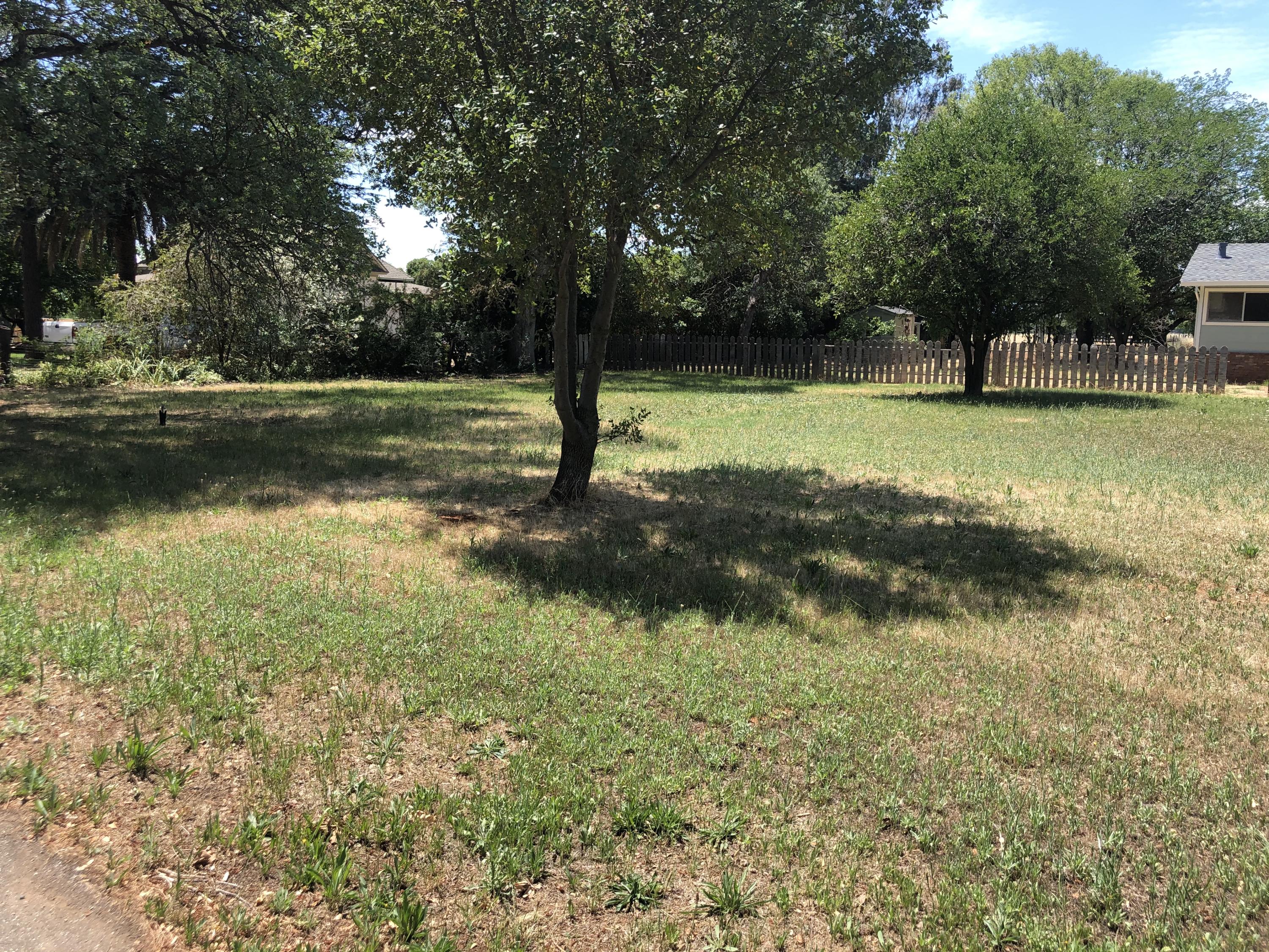 3020 Montgomery Road Red Bluff, CA 96080 - Photo 5 of 41 front yard
