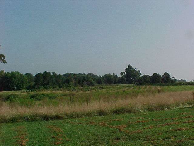 1197 Abner Creek Road Greer, SC 29651 - Photo 6 of 7