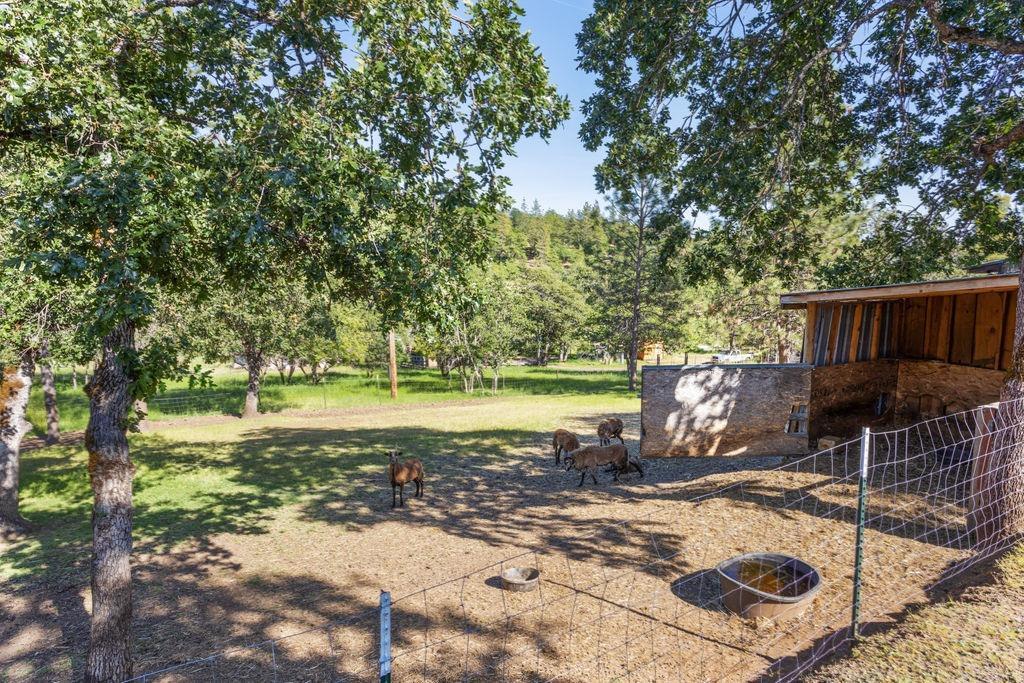 3800 Beagle Road White City, OR 97503 - Photo 7 of 35 Additional Photo