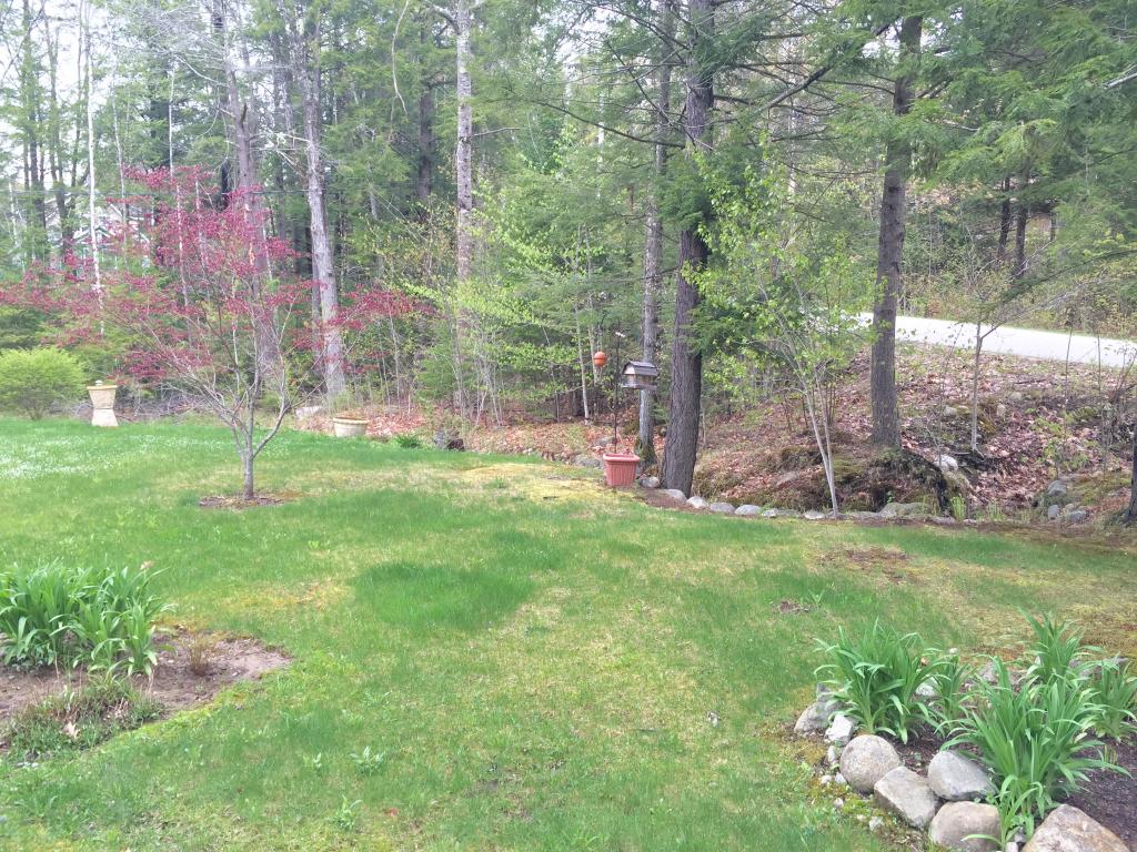 151 High Brook Road Thornton, NH 03285 - Photo 15 of 19