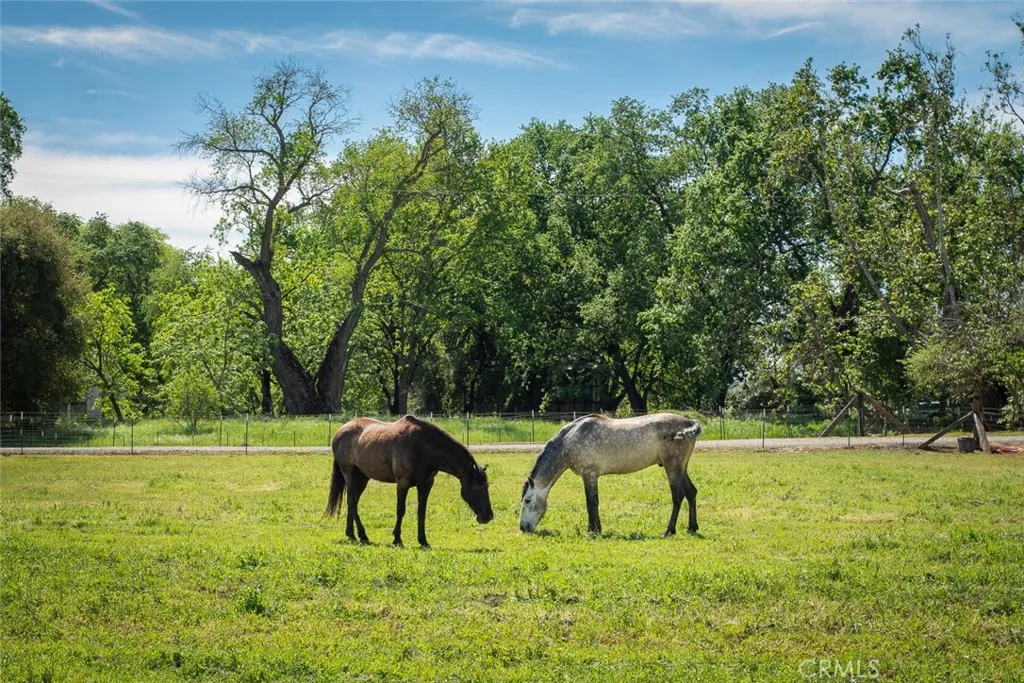 3453 La Porte Road Oroville, CA 95966 - Photo 46 of 75