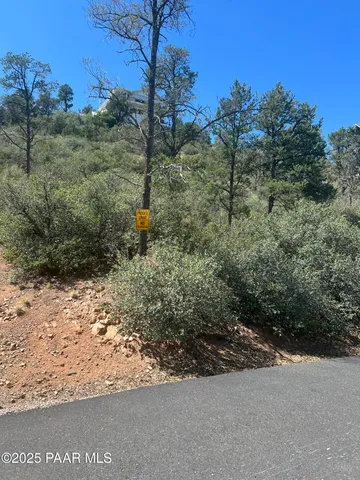 a view of a forest with trees in the background