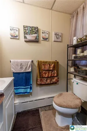 a living room with furniture a rug and a toilet