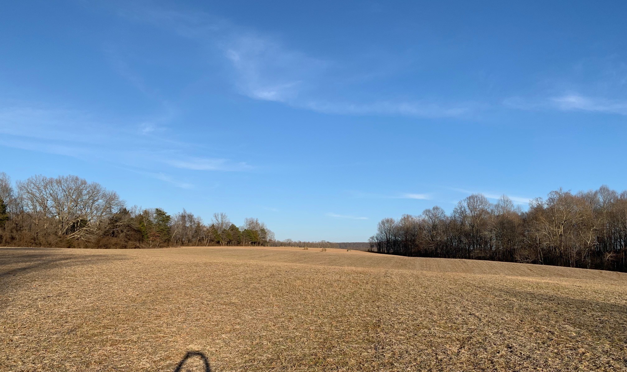 0 West D White Road Walling, TN 38587 - Photo 11 of 18 Gallery Image 11