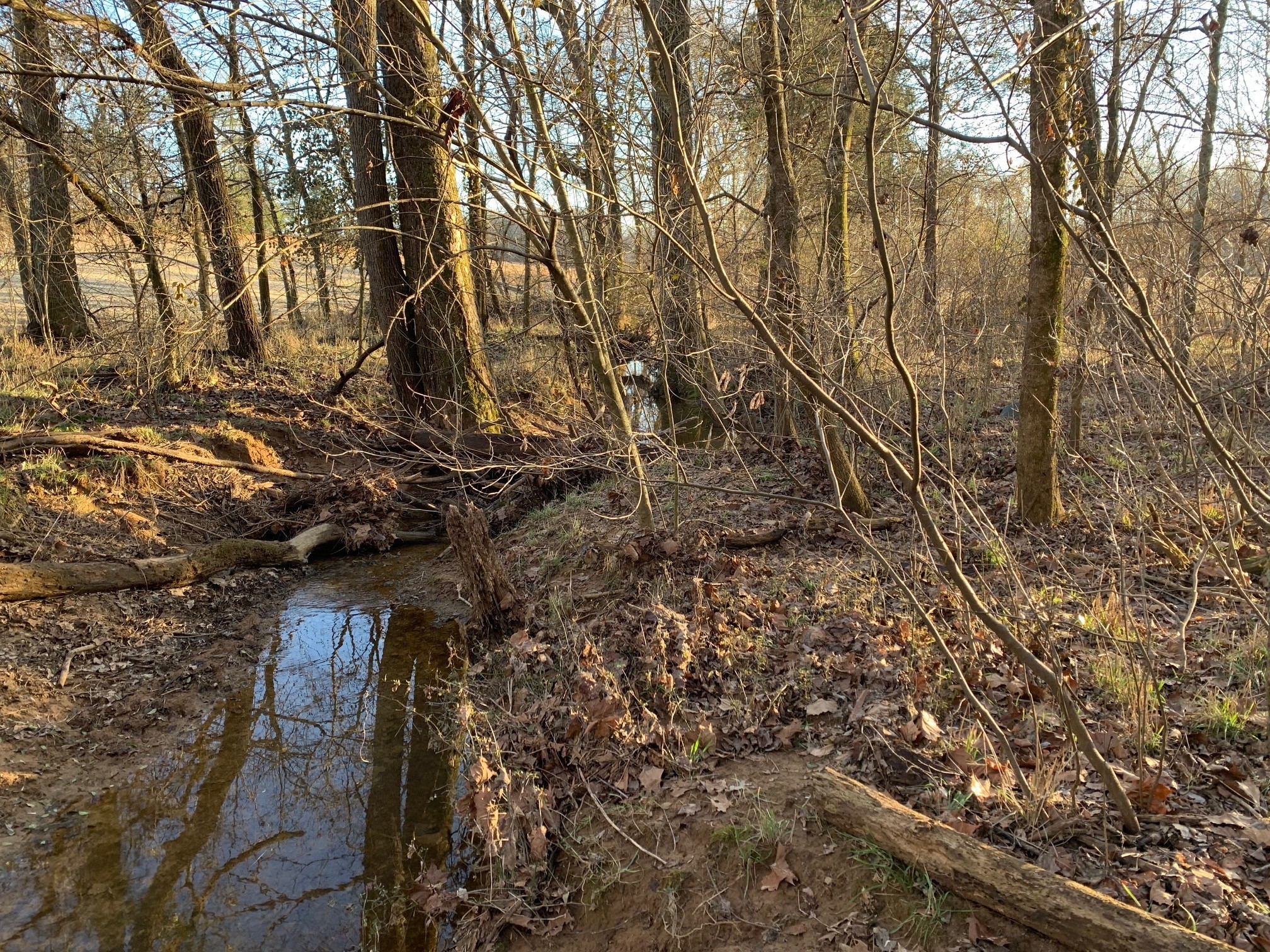 0 West D White Road Walling, TN 38587 - Photo 12 of 18 Gallery Image 12