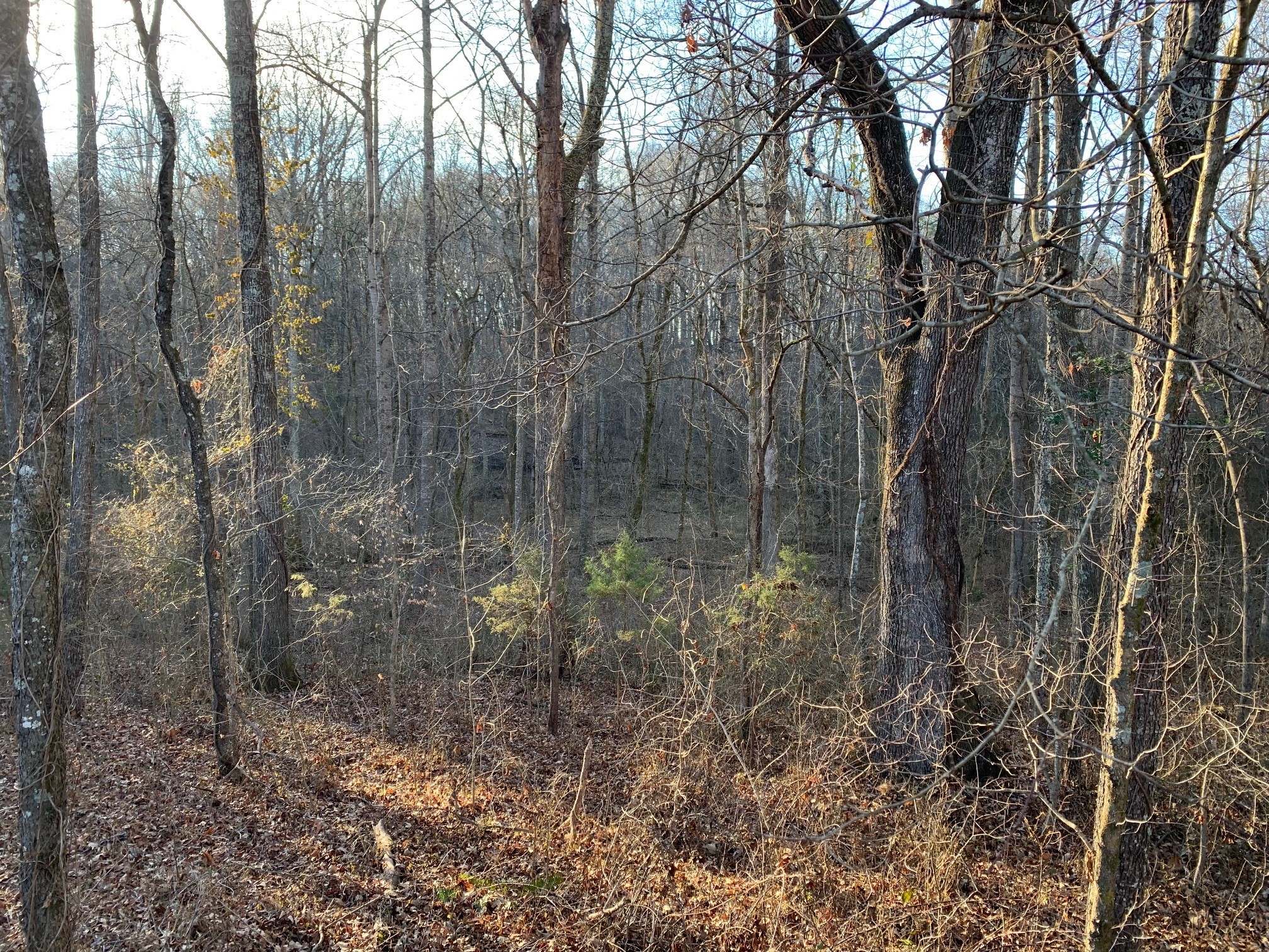 0 West D White Road Walling, TN 38587 - Photo 14 of 18 Gallery Image 14