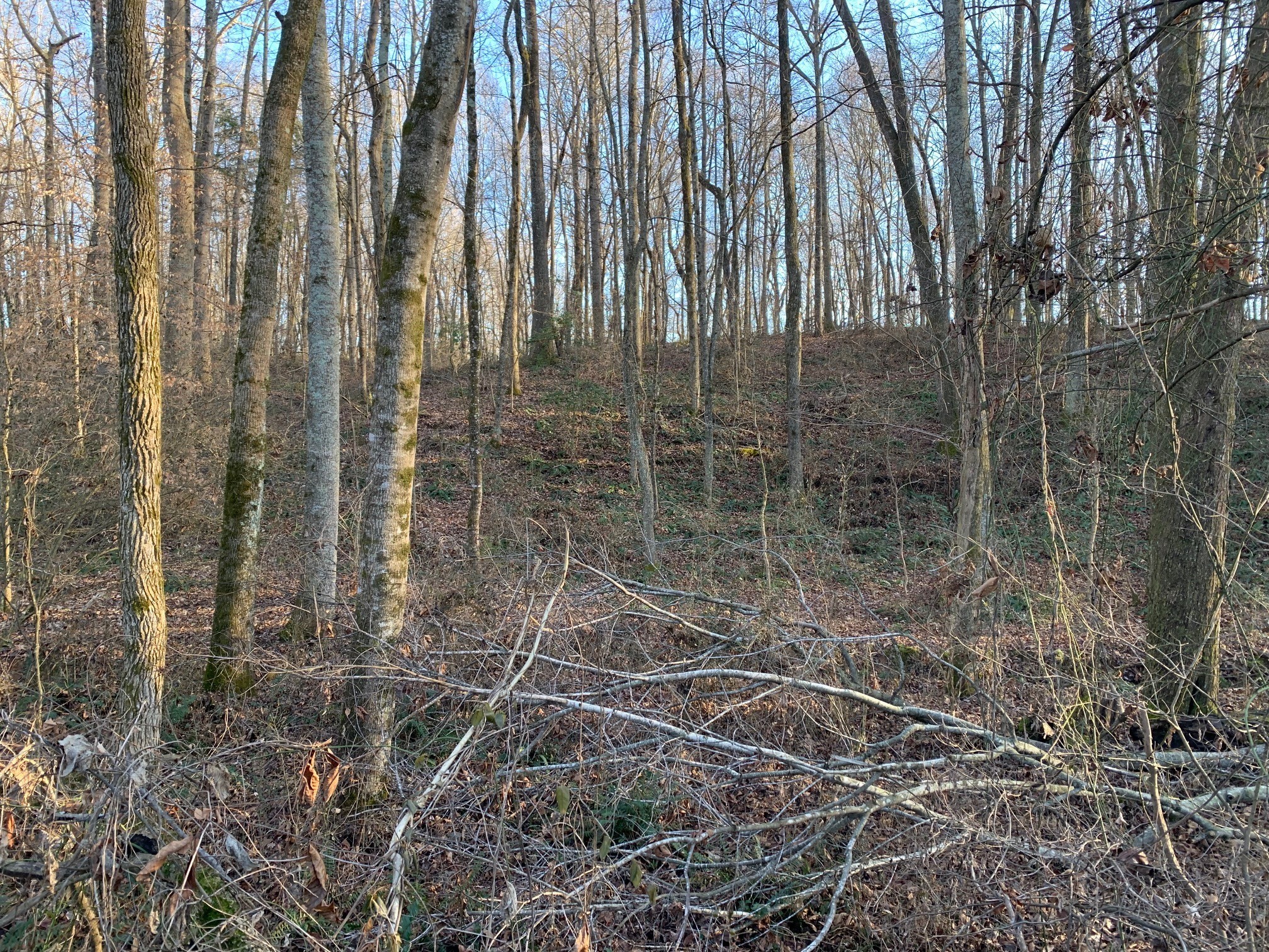 0 West D White Road Walling, TN 38587 - Photo 15 of 18 Gallery Image 15