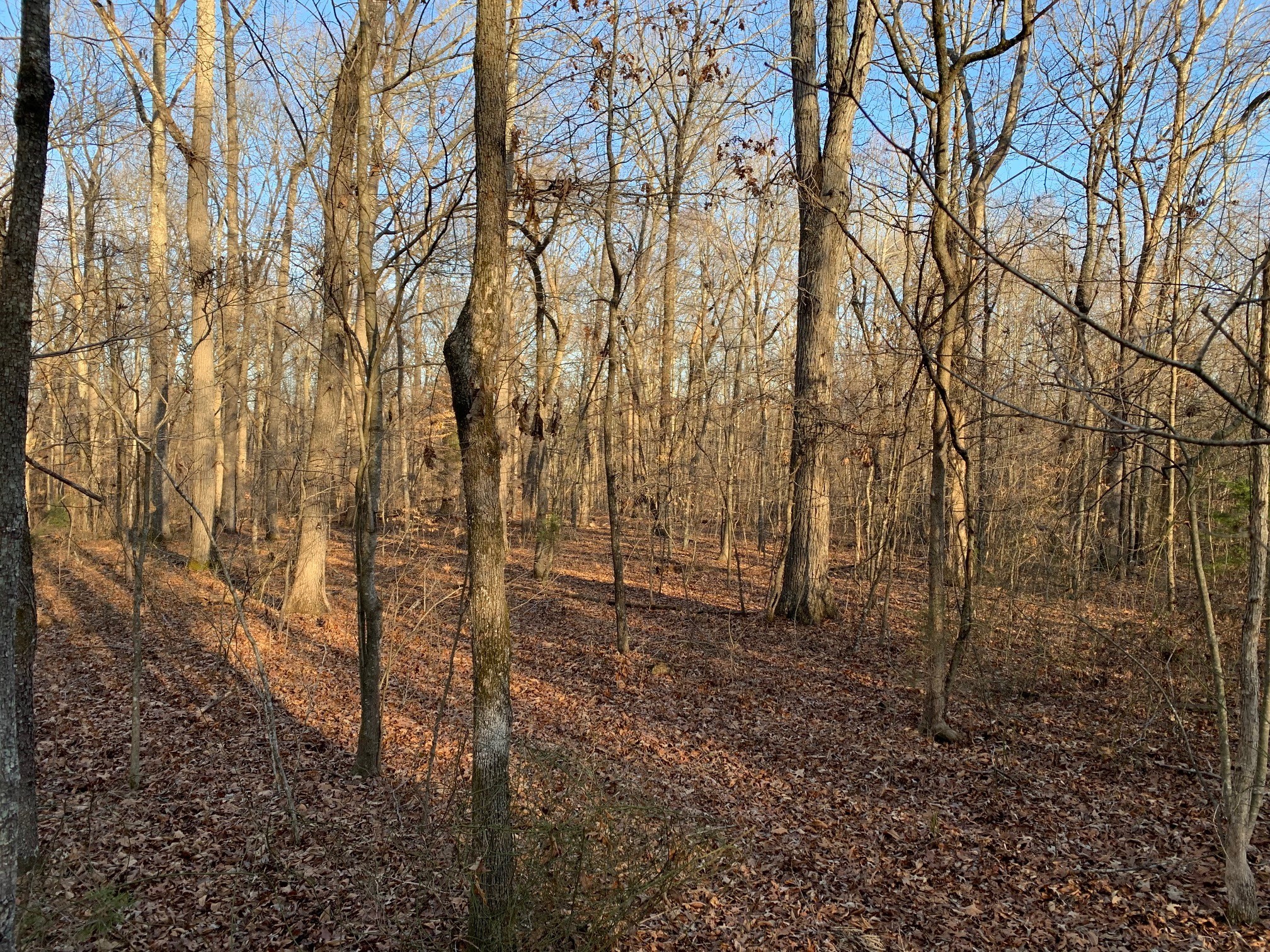 0 West D White Road Walling, TN 38587 - Photo 18 of 18 Gallery Image 18