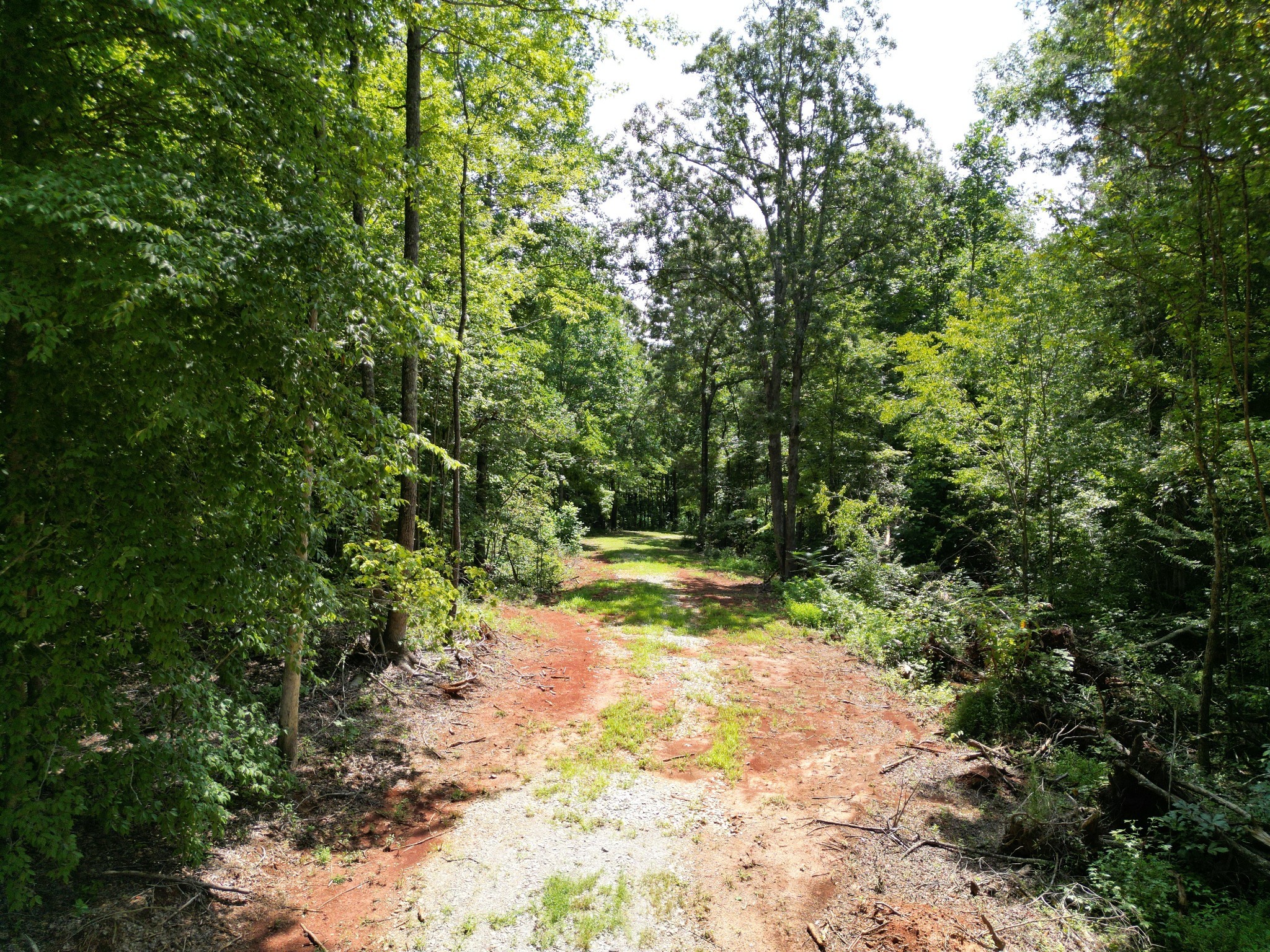 0 West D White Road Walling, TN 38587 - Photo 2 of 18 Gallery Image 2