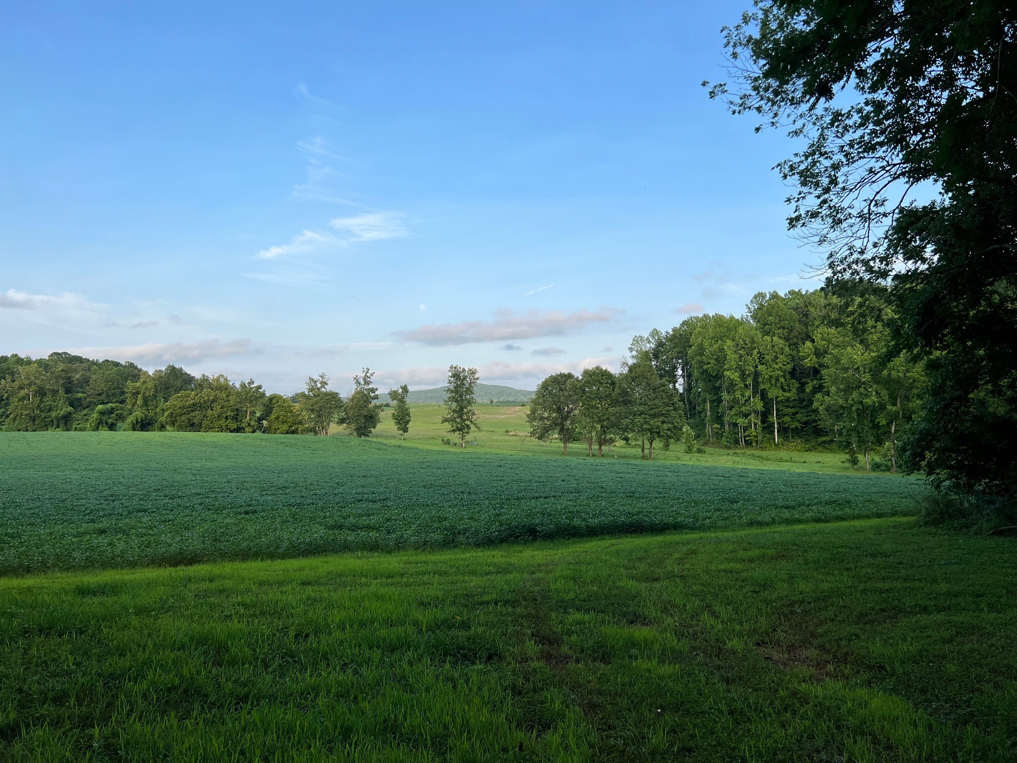 0 West D White Road Walling, TN 38587 - Photo 4 of 18 Gallery Image 4