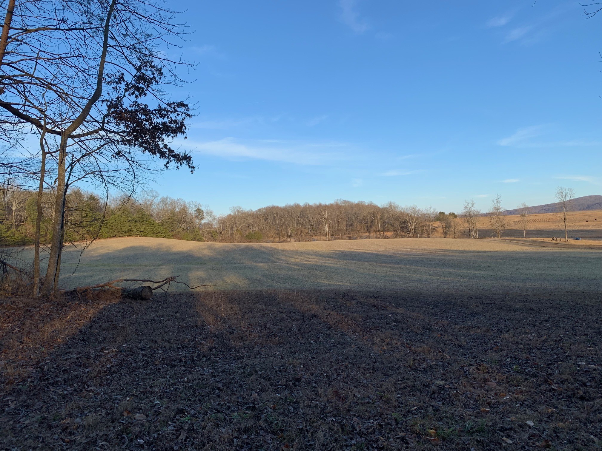 0 West D White Road Walling, TN 38587 - Photo 8 of 18 Gallery Image 8
