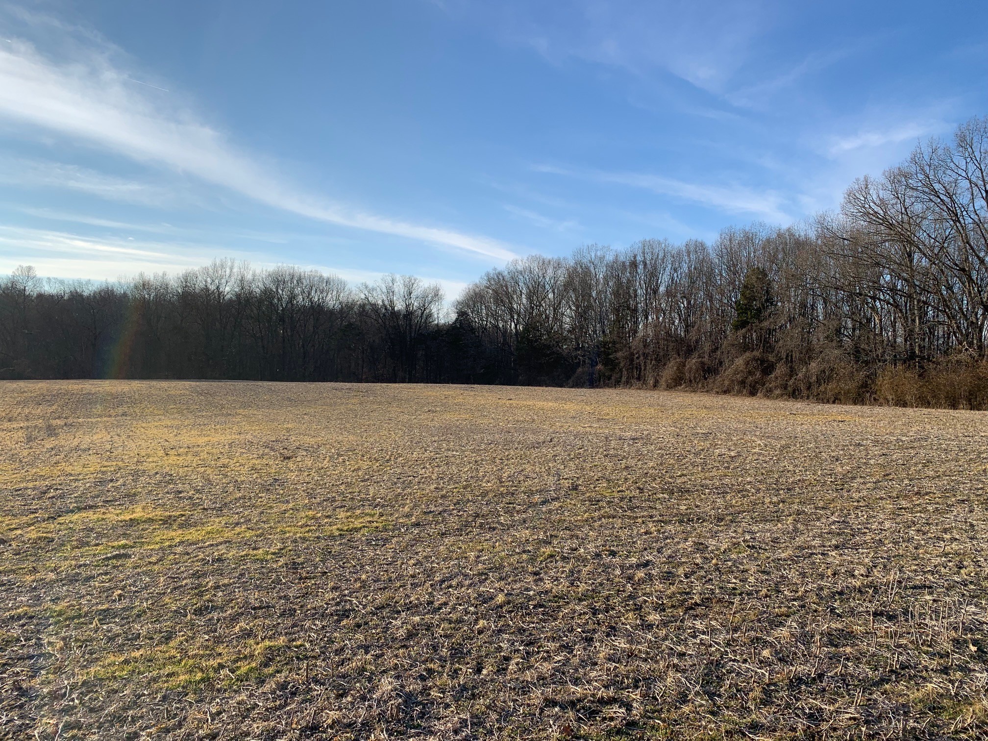 0 West D White Road Walling, TN 38587 - Photo 9 of 18 Gallery Image 9