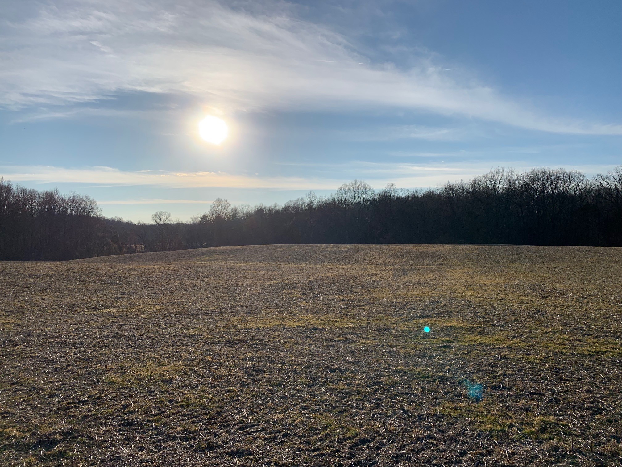 0 West D White Road Walling, TN 38587 - Photo 10 of 18 Gallery Image 10