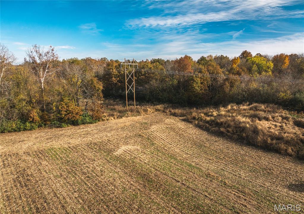 32987 Tb Ruyle Road Medora, IL 62063 - Photo 13 of 20