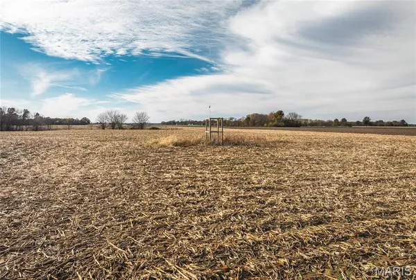 $190,000 | 32987 Tb Ruyle Road, Medora, IL 62063